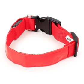 Vibrant Nylon Dog Collar - Available In Multiple Colors And Sizes