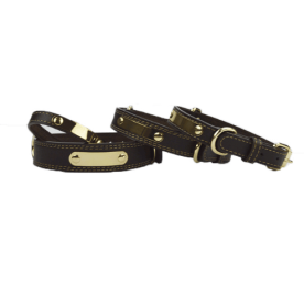 Personalized Pet Lettering Leather Dog Collar